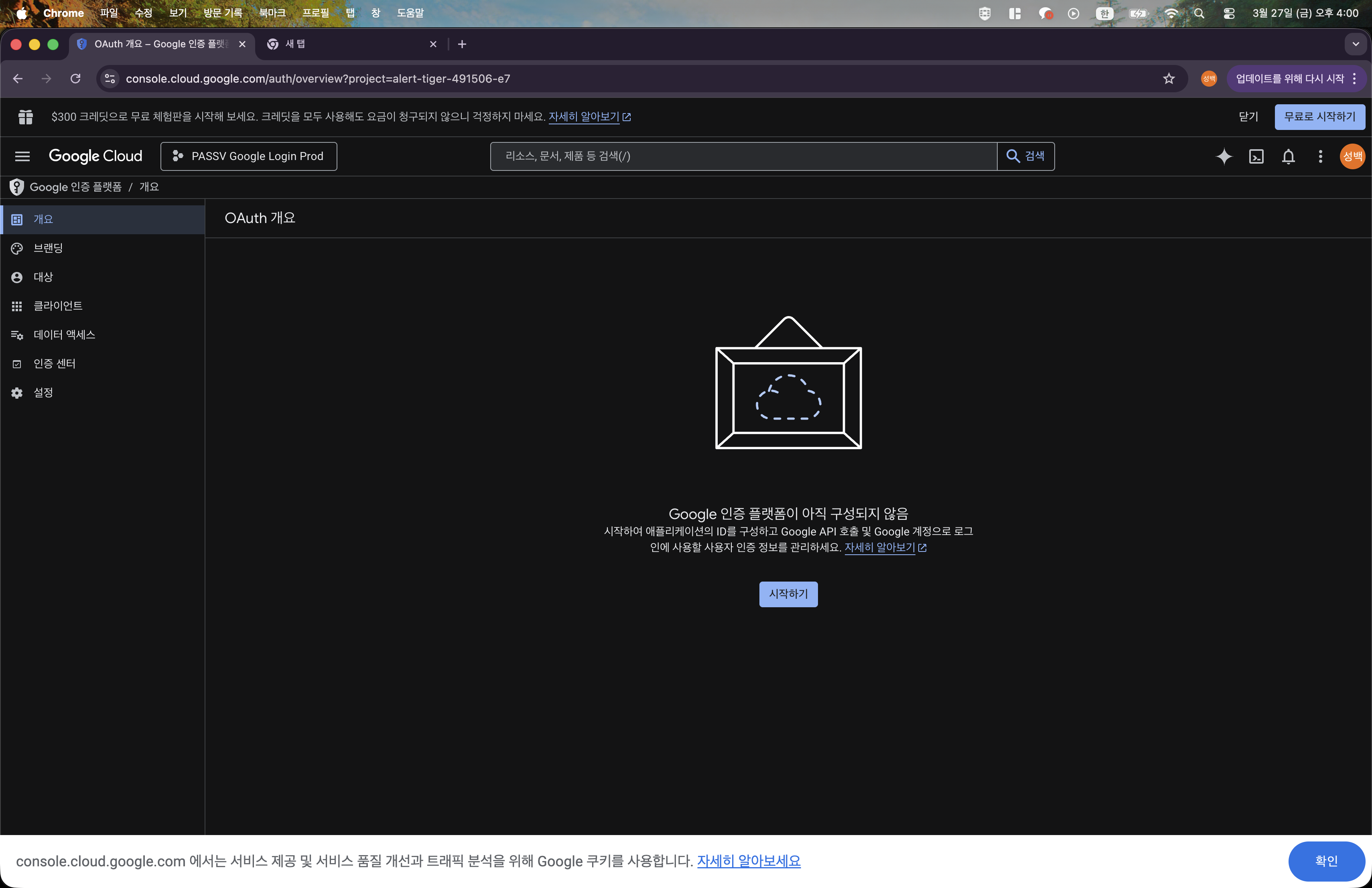 Google 인증 플랫폼 개요 화면